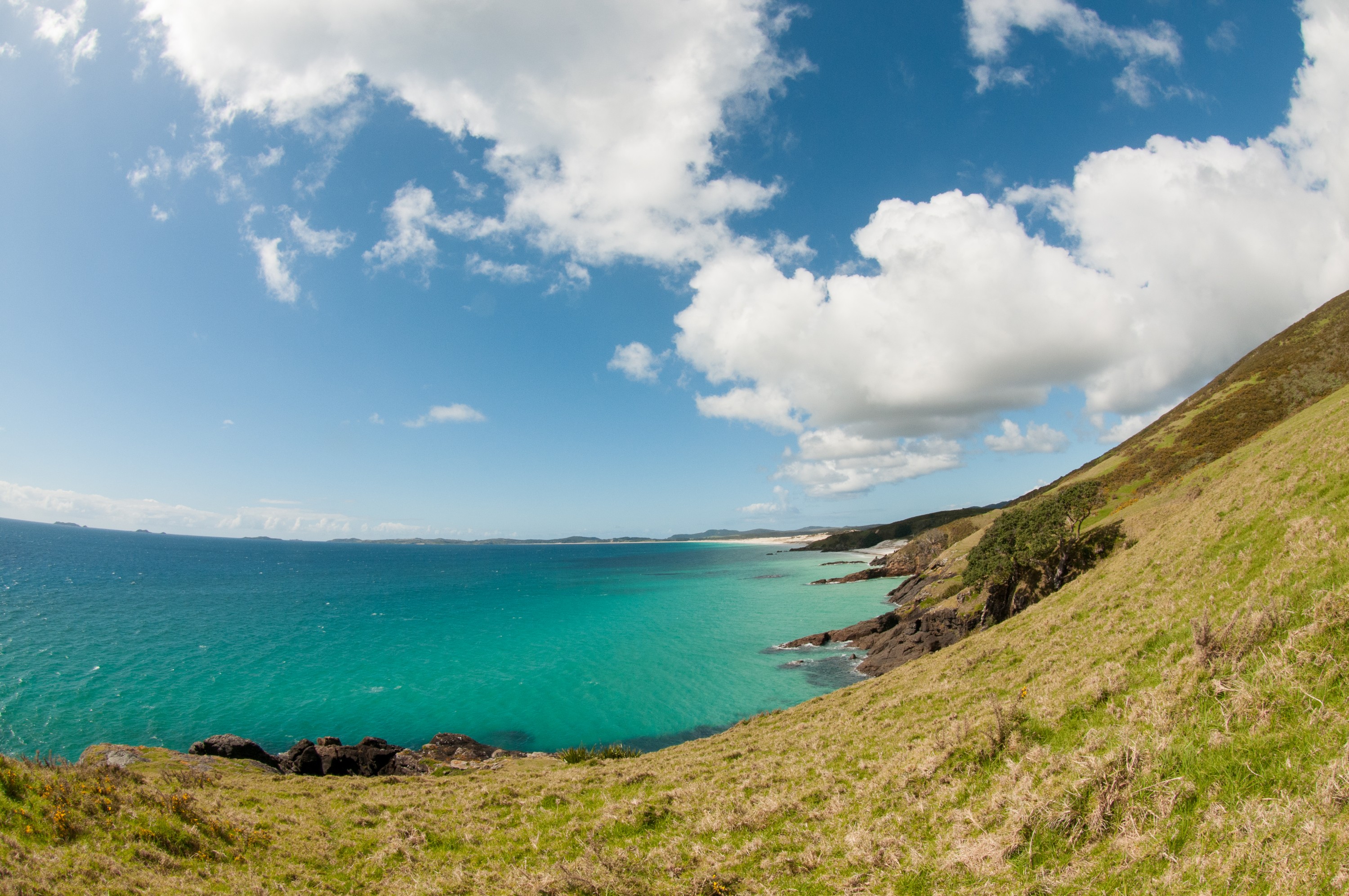 _IRM3576 – rangiputa, rangaunu, puweke, beach blue, ocean, sun, summer, northland, new zealand, nz, irene, dec16